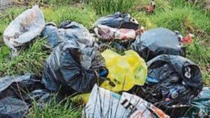 Court penalties for illegal dumping too lenient say Kildare county councillors