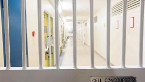 Law that makes it a crime to force or groom children into crime welcomed in Laois