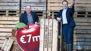 Kill company's €7m Aldi deal