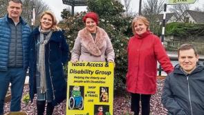 Plants stolen in Naas have been replaced