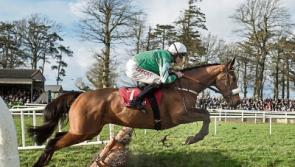 Robert Catterson gives his top tips for Cheltenham which starts today