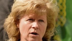 Kildare proposal on chemical glyphosate