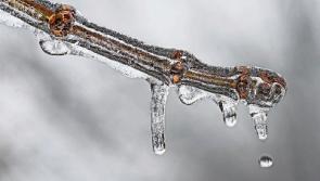 It will be cold across County Kildare with a shower or two