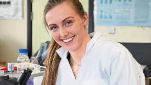 Clarins company to help fund bee research at Maynooth University in Kildare