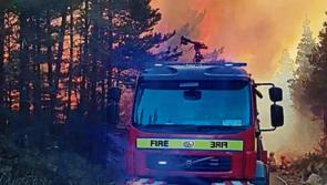 ALERT: Status Red 'extreme risk' forest fire warning has been issued for Ireland 