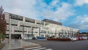 It’s time to vote for a green consensus on the county council in Kildare