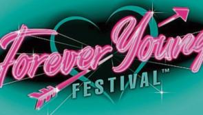 Volunteers sought for Naas music festival in return for free access