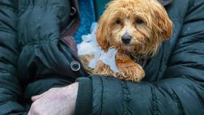 Why it won't be pleasant outdoors  today in County Kildare