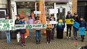Naas school girls to give climate change talk