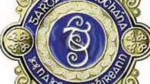 Would be burglars disturbed at a house near Naas