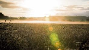 The weather brings sun to County Kildare today