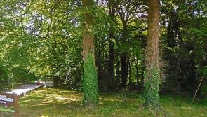 Coillte erects barrier near Kildare Donadea Forest due to anti-social behaviour