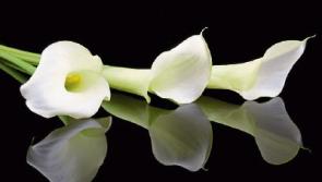 Deaths in Kildare - Friday, August 2, 2019