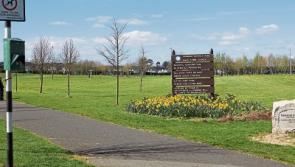 New lights needed to improve safety at Monread Park, Naas