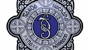 Burglary costs Kill resident €2,000