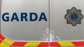 Another catalytic converter robbed from car near Naas