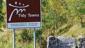 Survey should be carried out on walls near Naas