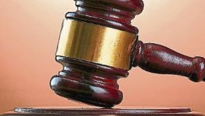 Cattle shot by Defence Forces for health and safety reasons court told