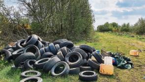 Reward offered to find illegal dumpers in Allenwood