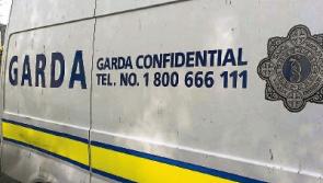 Burglars rob money from house near Naas