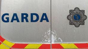Bicycles stolen at Naas home