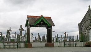 Keep dogs out of Naas cemetery