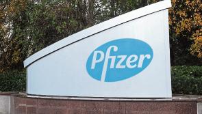 ESB proposes changes to Pfizer premises in Newbridge, County Kildare