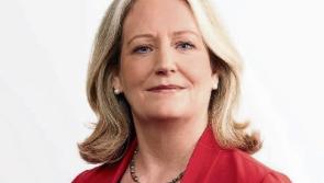 County Kildare politicians fight to retain control of public land