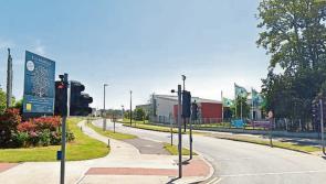 KILDARE: No overall survey of trees - despite concerns about suitabiliy for residential areas