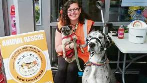 KWWSPCA: We bid a very sad farewell to mascot Gia