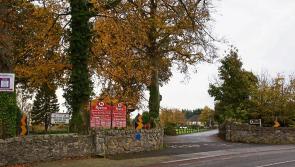 International Men's Day 2023 breakfast and panel discussion event to take place in Kildare venue