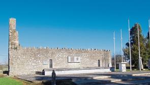 Kildare County Council rejects proposal to buy private burial plots