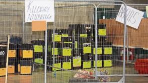#GE16: LIVE from the Kildare North and Kildare South counts at Punchestown