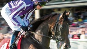 Kerbs 'too high' for jockeys, says Kildare town councillor