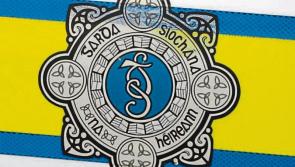 Cattle trailer robbed in Naas