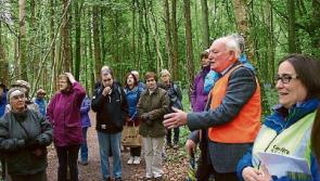 From dormice to a dusk chorus, there's plenty to do during Kildare Biodiversity Week