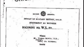 Former Kildare TD's first-hand volunteer account brings 1916 to life