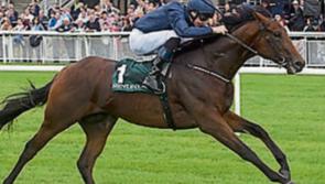 THE PUNTER'S EYE: Four horses to crown the Curragh's Irish Guineas weekend