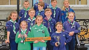 The 4th Kildare town scout cubs scoop title