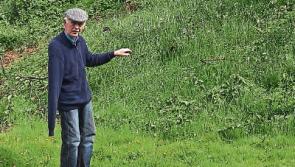 Historic 'Sunday's Well' site in Clane will be studied