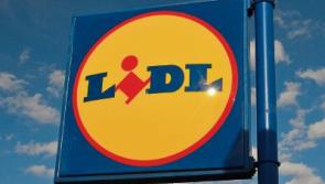Lidl's Newbridge plans held up by ancient crop circle