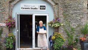 Newbridge artist Eleanor Swan wins international award