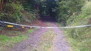 Kildare Gardai appeal for information on Rahin Wood murder