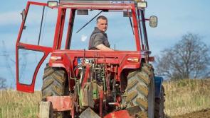 HRI to host marquee at Ploughing Championships