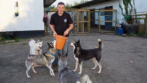 Kildare-based Husky Rescue Centre in crisis