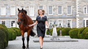 Kildare targets conference market