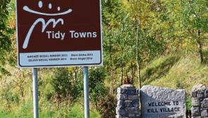 Praise for Tidy Towns volunteers in Kill