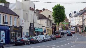 Volunteers push Naas to Tidy Towns gold