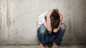 65 complaints from Kildare children 