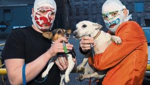 Rubberbandits at Centre Stage at the Osprey, Naas